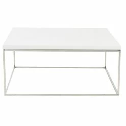 Euro Style Teresa Square Coffee Table, White And Polished Stainless Steel