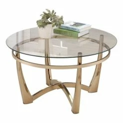 Acme Furniture ACME Orlando II Round Glass Top Coffee Table In Champagne