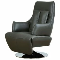 World Source Design LLC Vegas Modern Top Grain Leather Ergonomic 2-Motor Powered Recliner, Gray/Silver